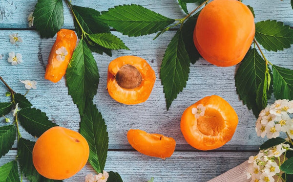 Benefits of Apricot Kernel Oil For Your Skin - Tammy Fender