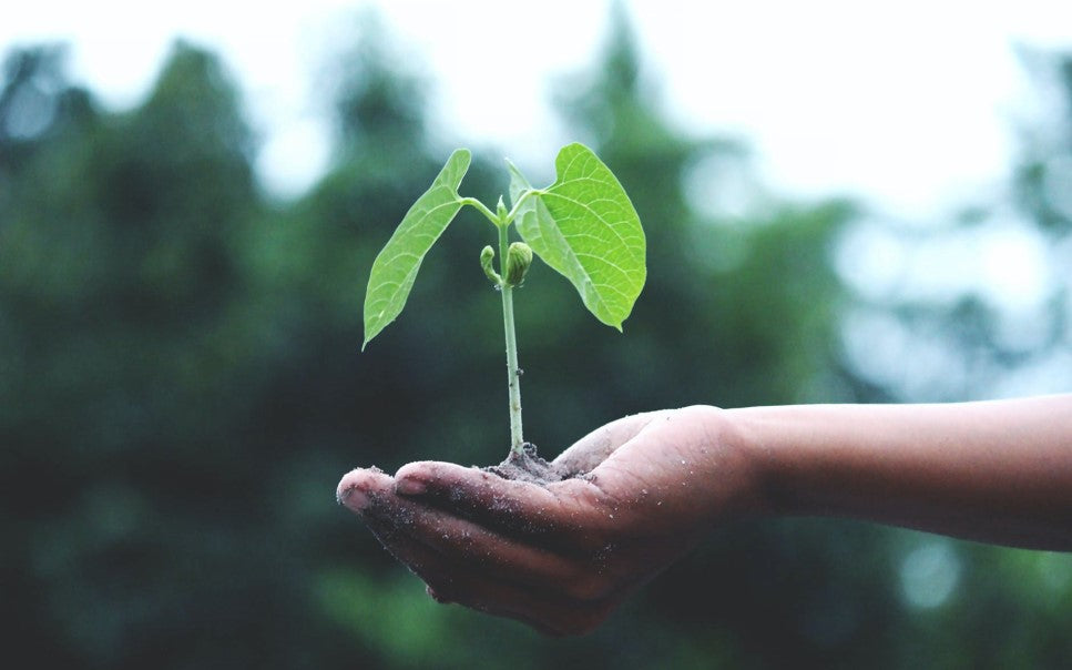 How to live a greener and more eco-friendly lifestyle