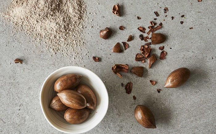 Argan and skincare – a journey from tree to moisturiser