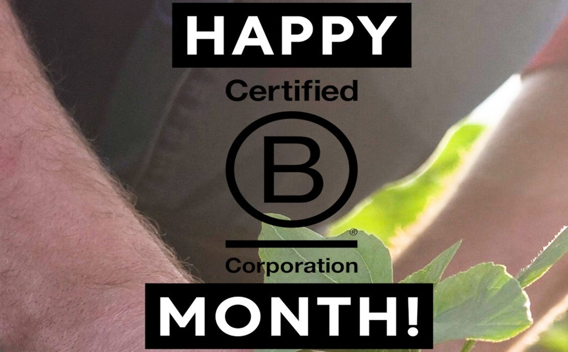 B Corp Month: What makes UpCircle a B Corp certified brand?