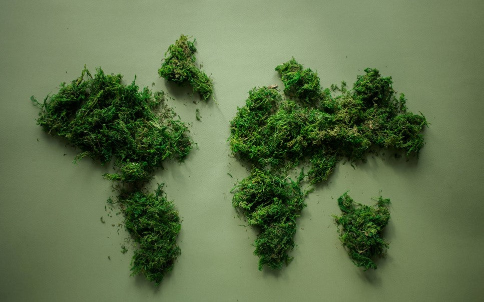 Are you getting greenwashed?