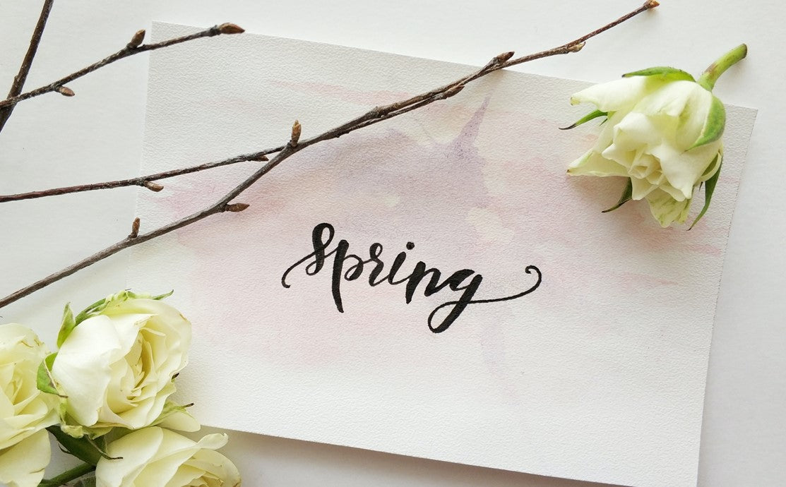 A Guide to Sustainable Spring Cleaning!